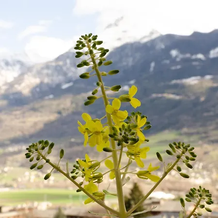 La Casa Degli Aromi - Vista Montagna E Relax