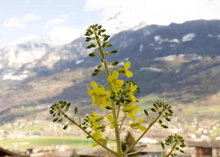 La Casa Degli Aromi - Vista Montagna E Relax